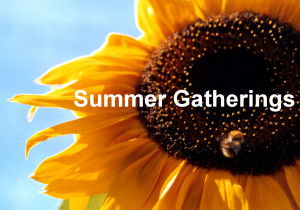 summer gatherings