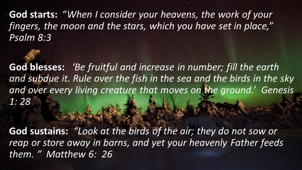 God Creates
