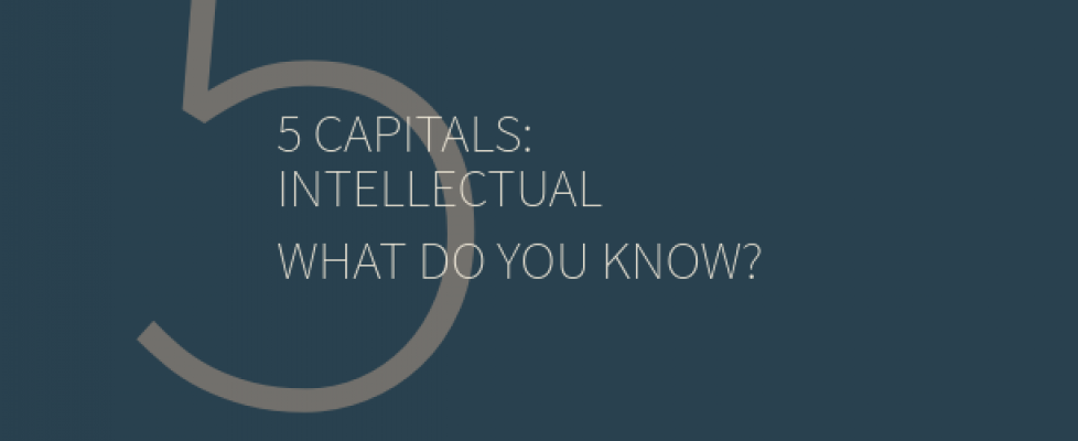 5CapitalsIntellectualWhatdo
