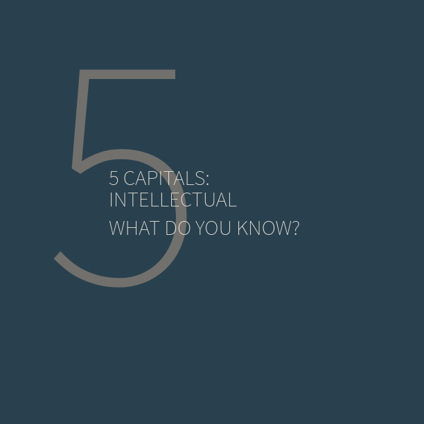 5CapitalsIntellectualWhatdo