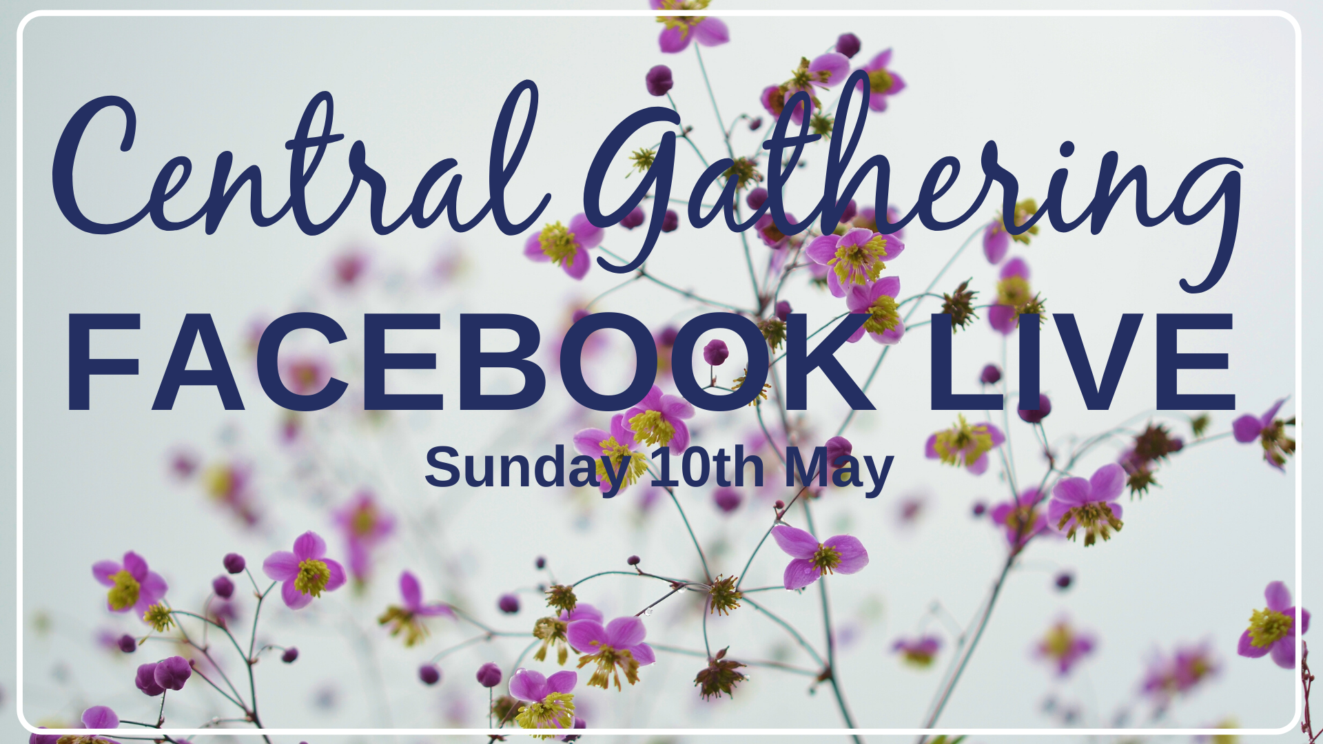 Copy of Copy of Copy of Copy of Gatherings this week (1)