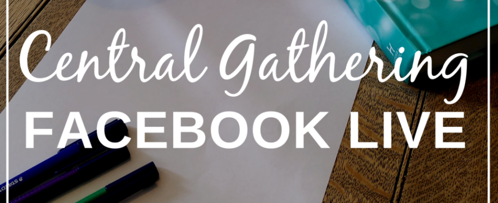 Copy of Copy of Copy of Copy of Gatherings this week