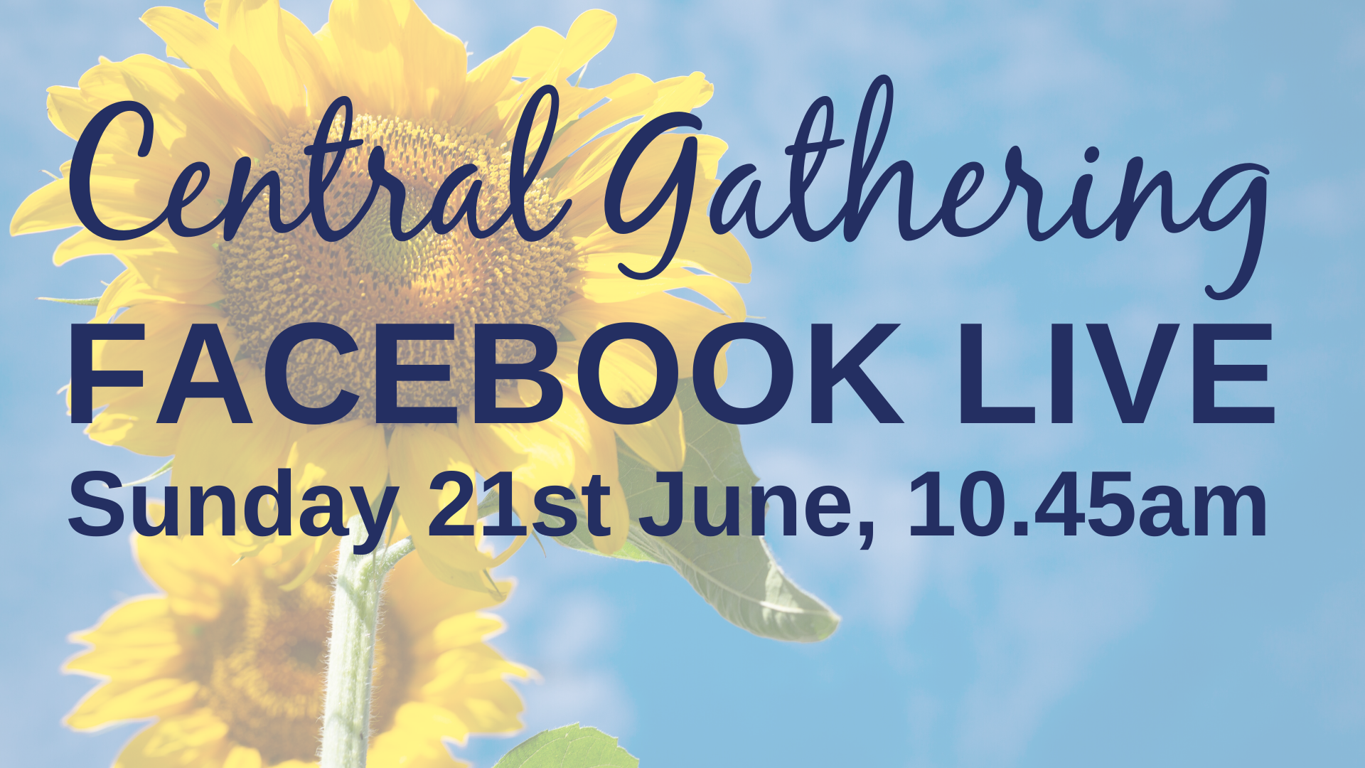 Central Gathering Live