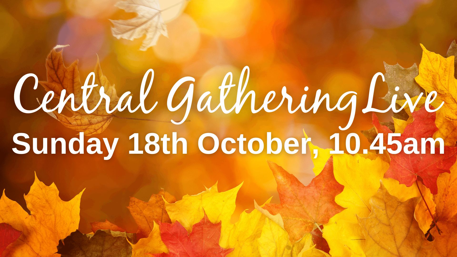 Central Gathering Live (thumbnail for schedule)