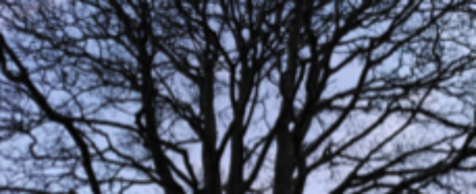Screenshot-2021-01-21-at-10.42.39