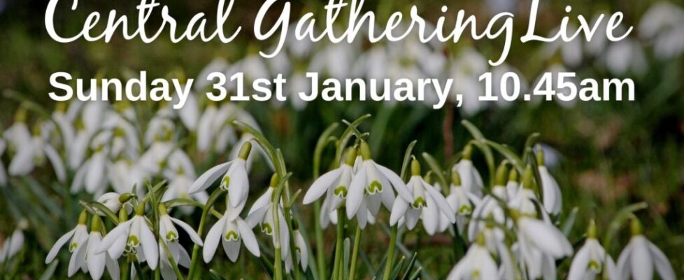 Central Gathering Live (1)