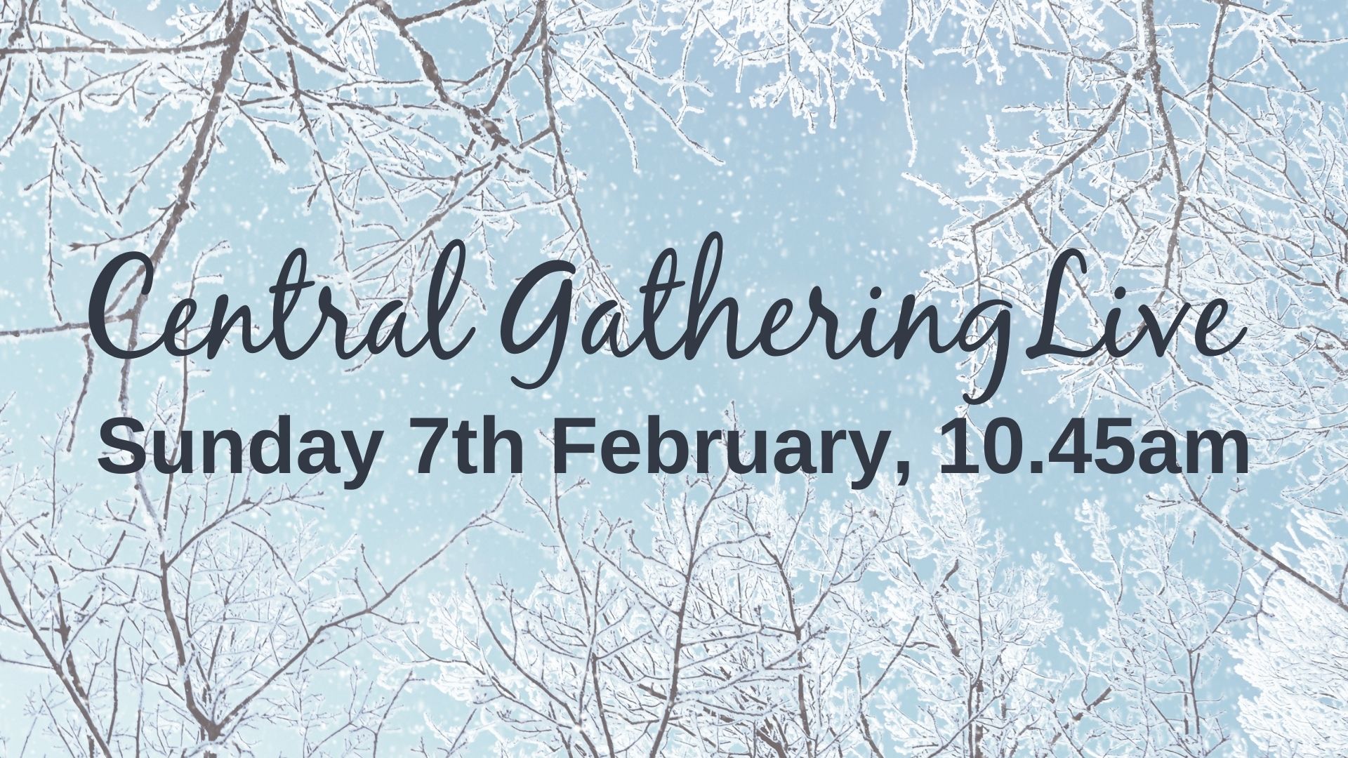 Central Gathering featured image