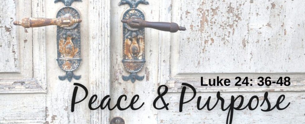 Peace and Purpose