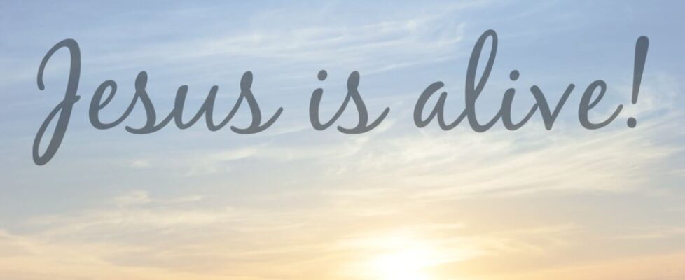 Sermon Thumbnail