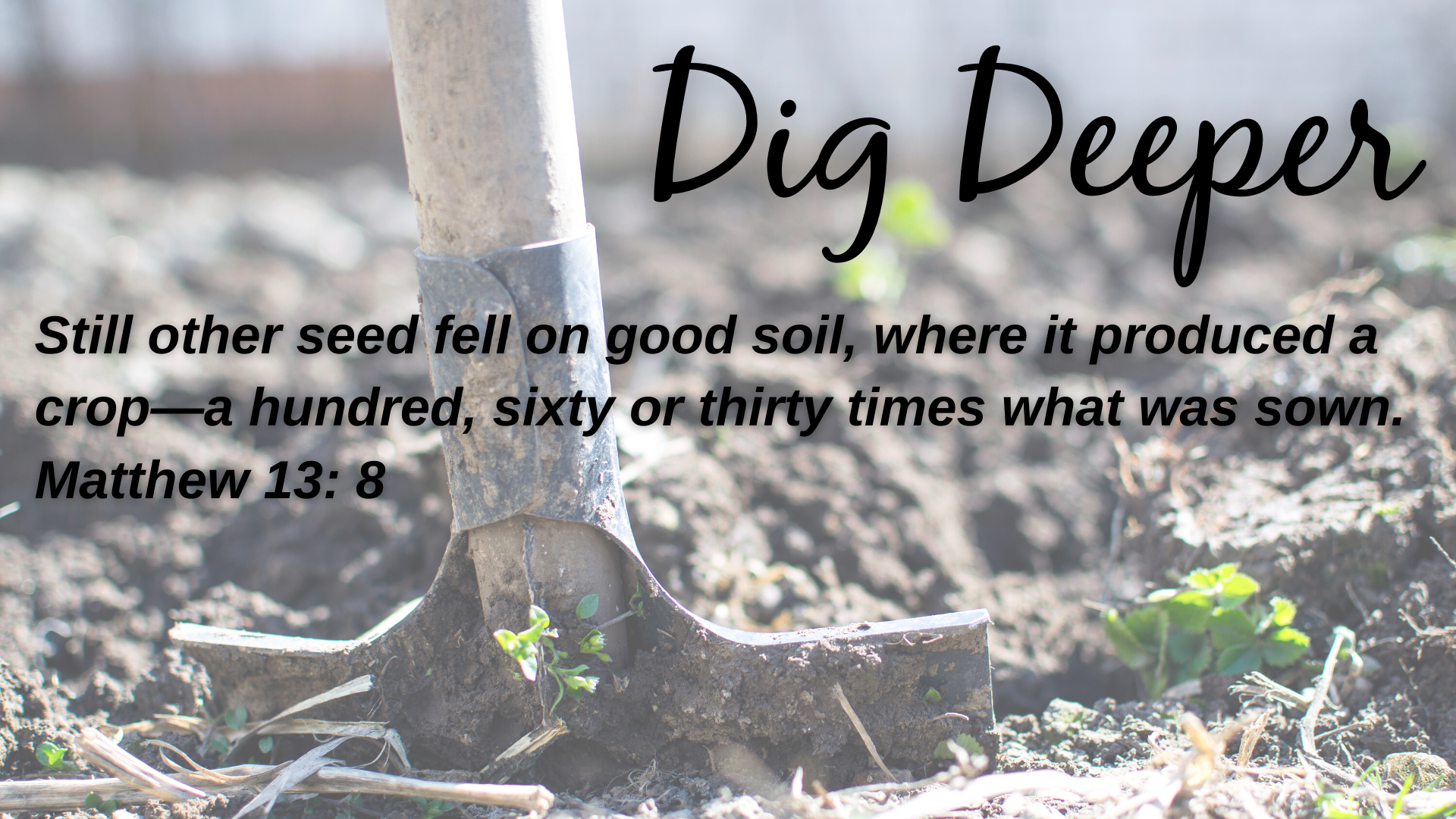 Dig Deeper (Presentation (169)) (1)