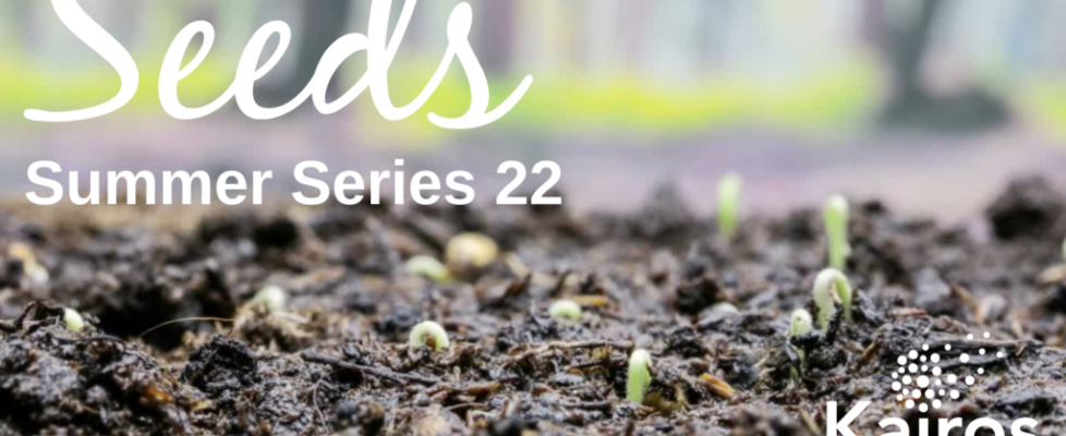 Seeds (4)