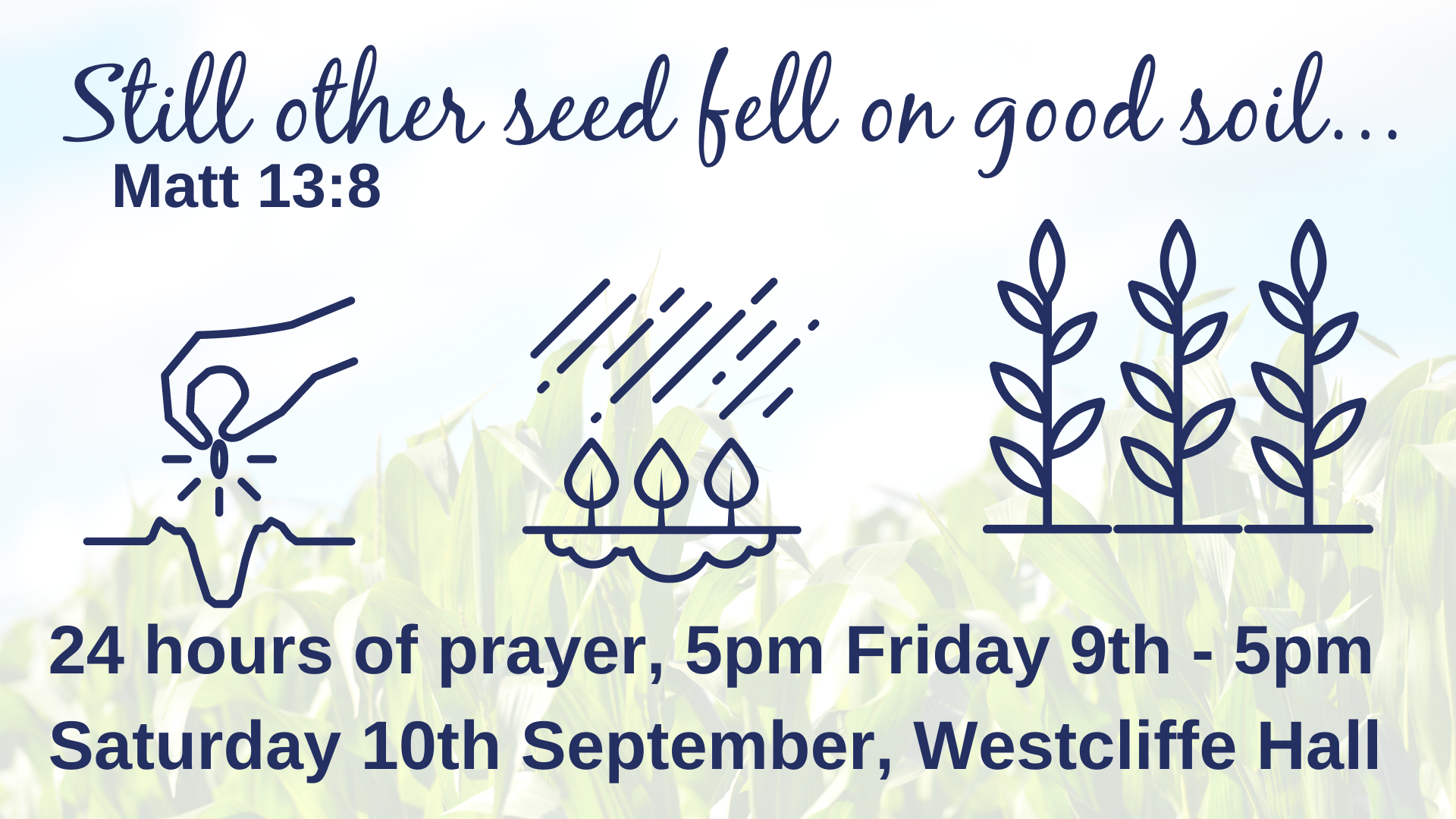 Still other seed fell on good soil... (1)