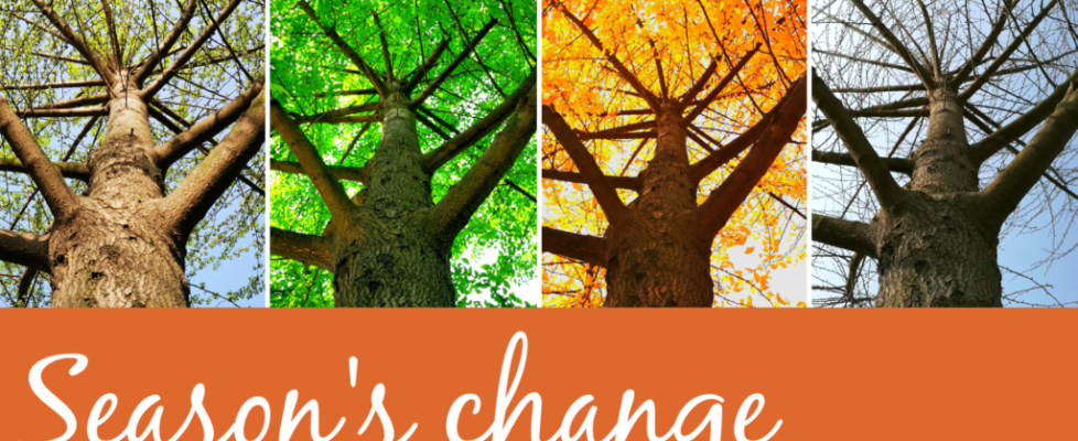 Seasons Change