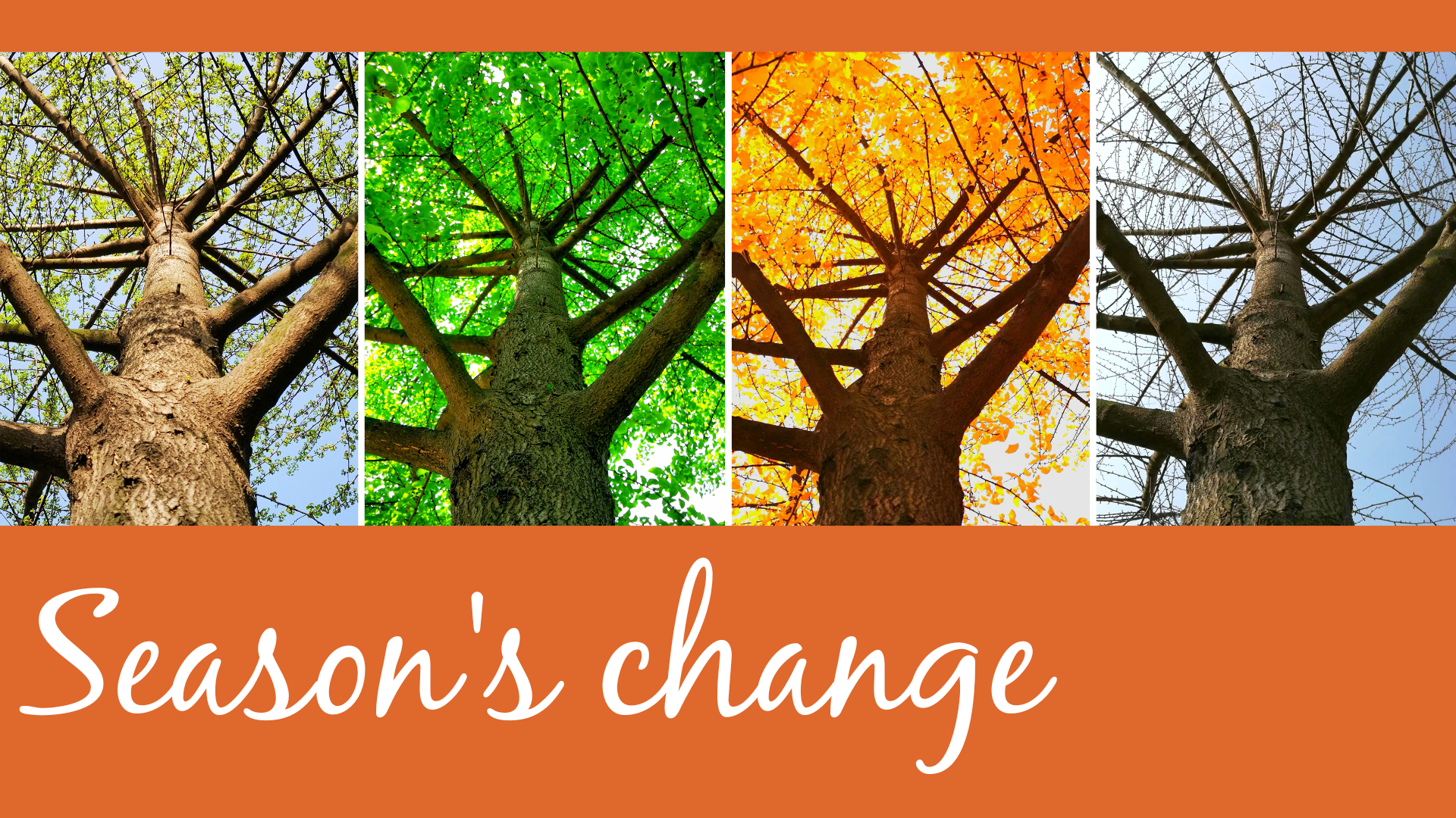 Seasons Change