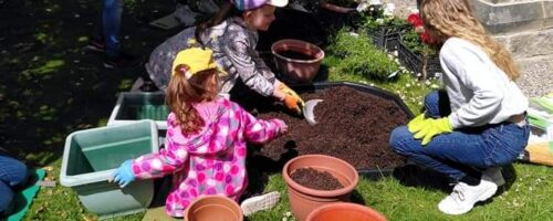 impact sunday gardening impact sunday gardening