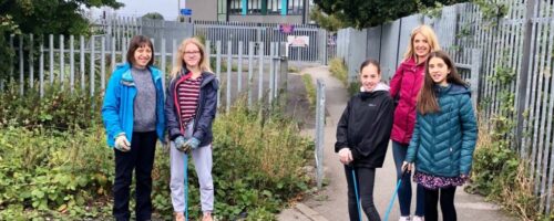 kindle litterpick kindle litterpick